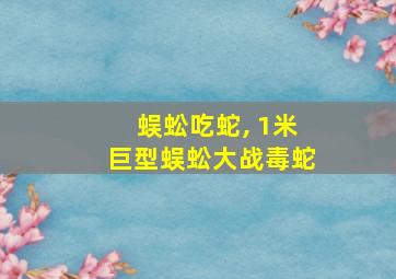 蜈蚣吃蛇, 1米巨型蜈蚣大战毒蛇